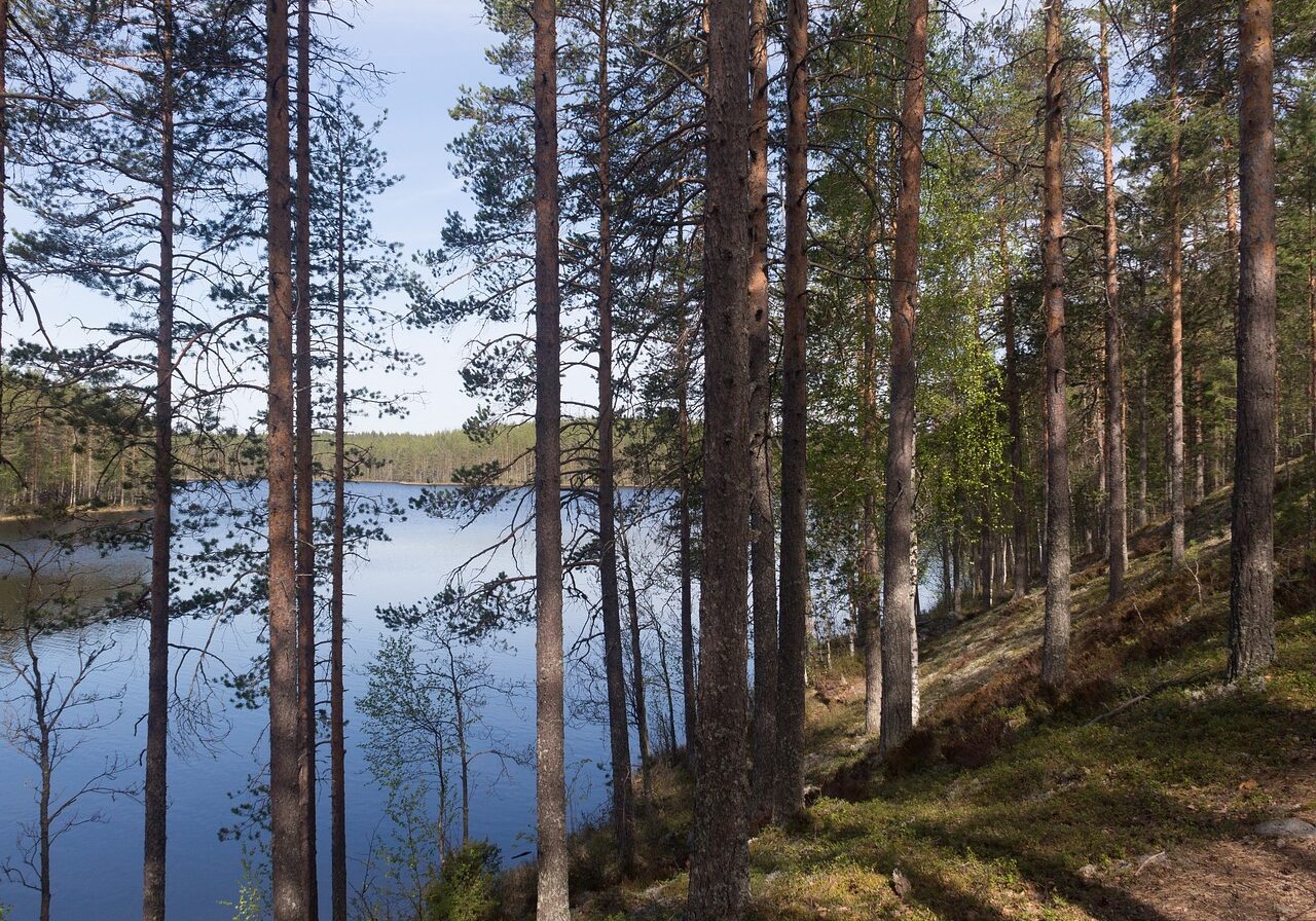 finnish-2073681_1280 finnish-2073681_1280